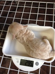 大きくなったよ^^