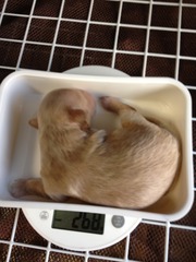 大きくなったよ^^