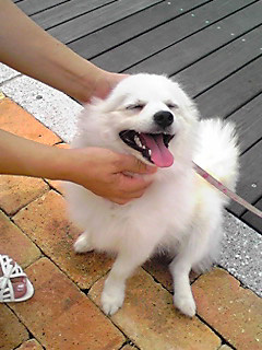 ☆かんたん海の大サーカス!①