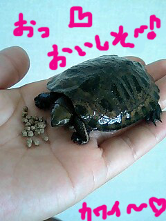 ☆今日も可愛い!