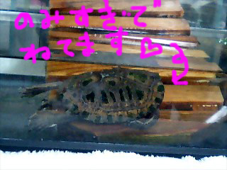 ☆一緒に飲もう?