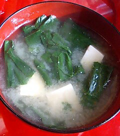 ☆ほうれん草♪