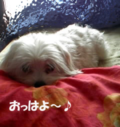 ☆おはよ~♪