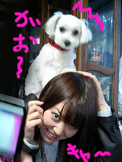 ☆反撃!!