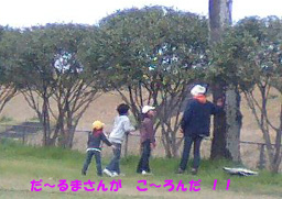 ☆じゃん公花見大会(昼)