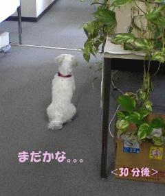 ☆待たせてゴメンネ!