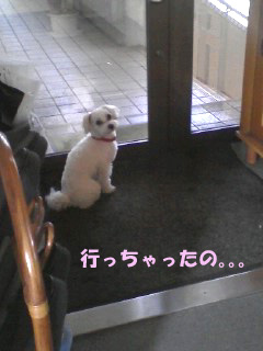 ☆待たせてゴメンネ!