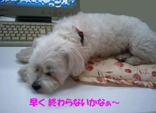 ☆待たせてゴメンネ