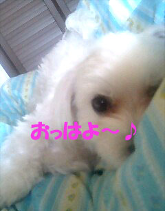 ☆おはよ~♪