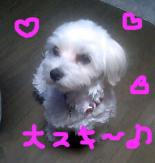 ☆おはよう~!