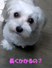 ☆まだ・・・