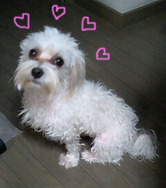 ☆いい匂いがする~♪