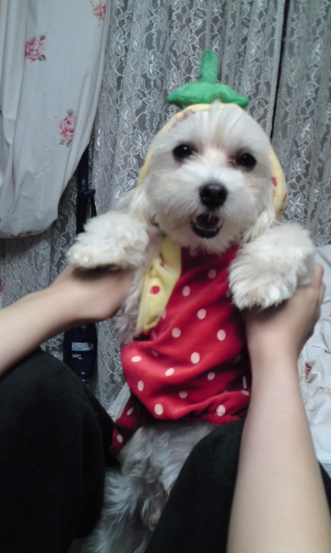 ☆ふふふ～（*＾ｍ＾*）