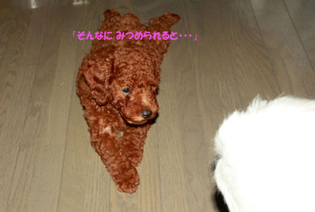 暑かったね~^^