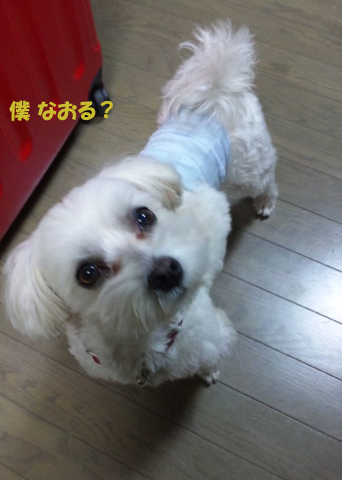 まだ・・痛い?