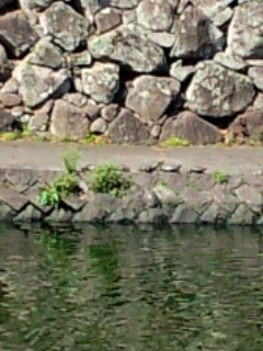 歩いて降りようか?