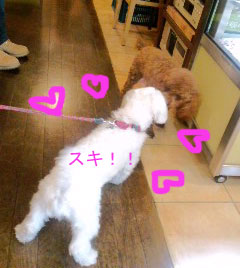 アンジーちゃんと~