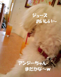アンジーちゃんと~