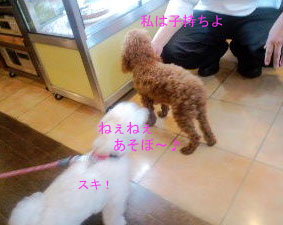 アンジーちゃんと~