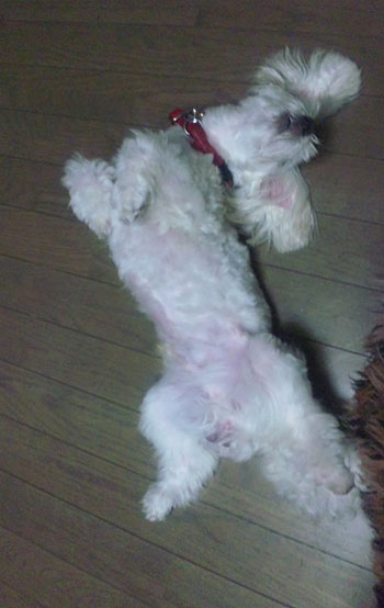 リラーックス♪