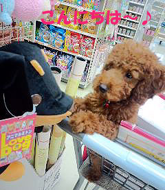 グッディ〜はいいね!