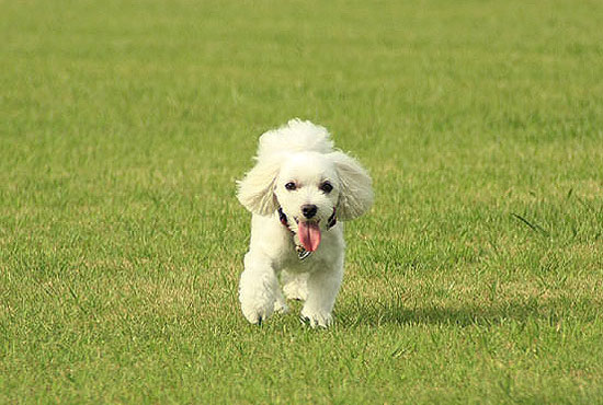 公園で~♪