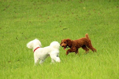 公園で~♪