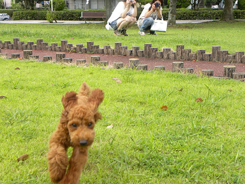 宮崎の公園から~♪