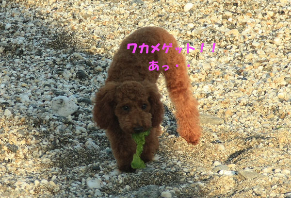 ①海~♪