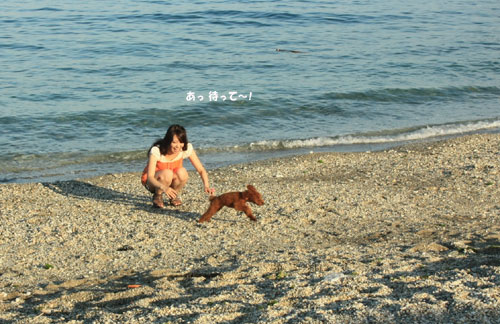 ①海~♪