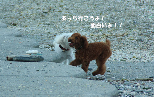 ②ルーニャンもあそぼ~♪