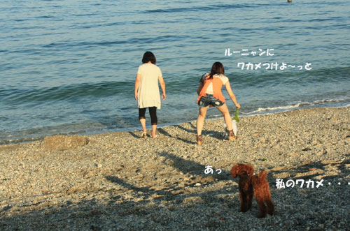 ③ワカメ 大好きっ!