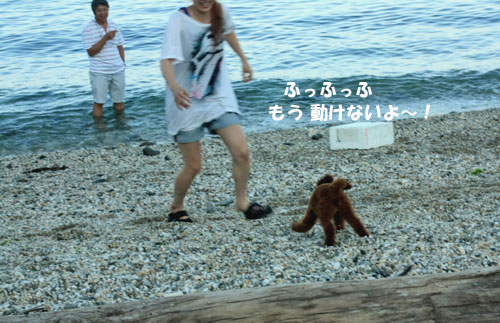 ④チョコVs Yちゃん^^