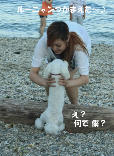 ④チョコVs Yちゃん^^