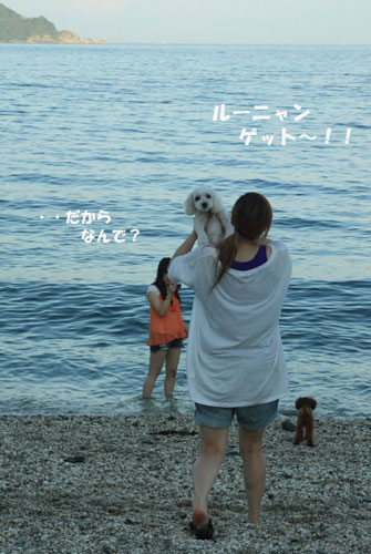 ④チョコVs Yちゃん^^