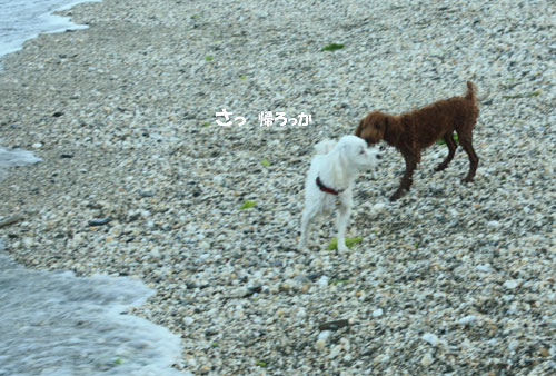 ⑥初めての海2