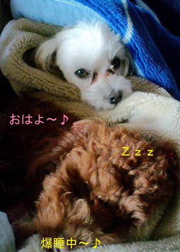おはよう~♪