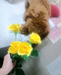 初節句~♪