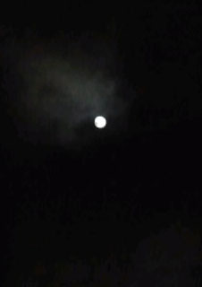 お盆の空模様