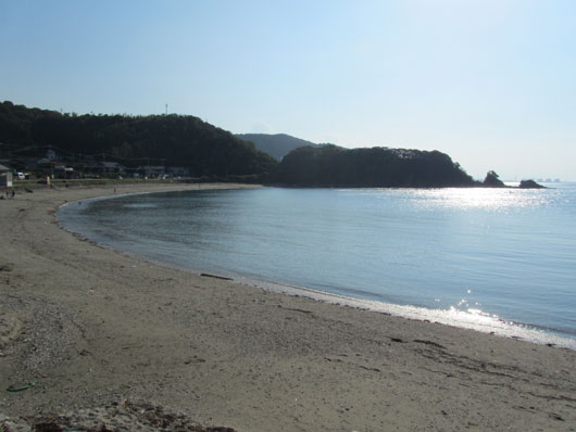 チョコディーと海♪