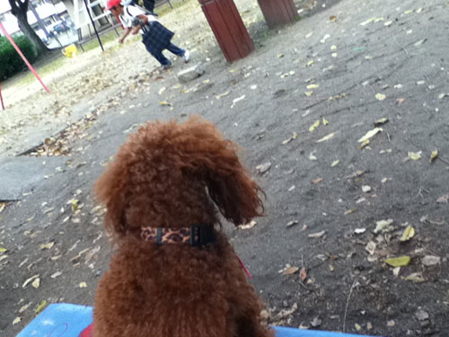 近くの公園で^^