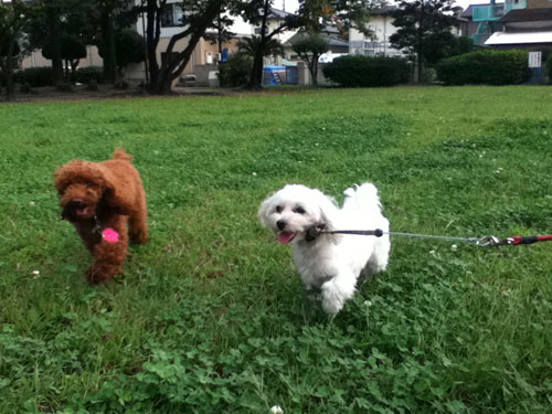 近くの公園で^^