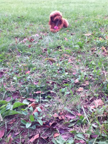 近くの公園で^^
