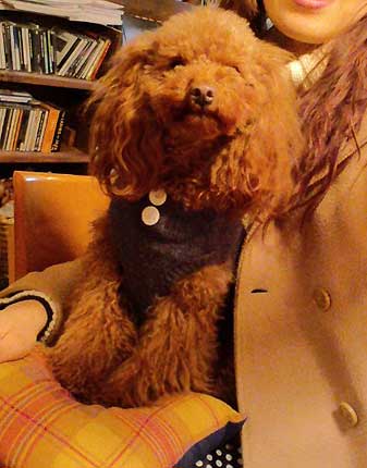 ときめき♪