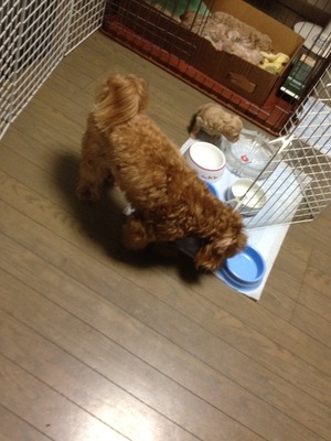 ただいまぁ～♪