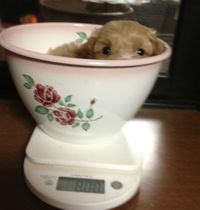 おはようございます~♪