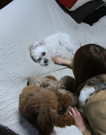 家族写真その②