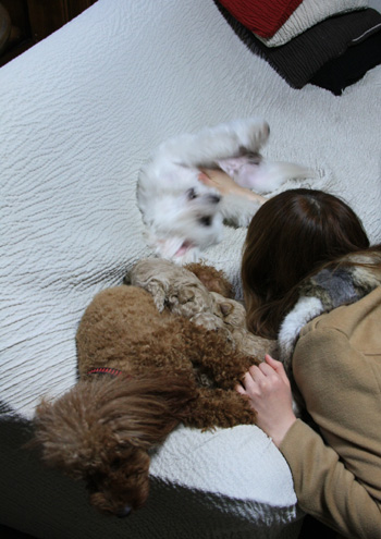 家族写真その②