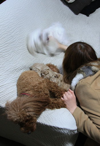 家族写真その②