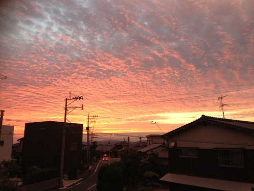久しぶりに早起きしてみると・・
